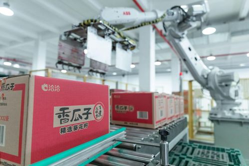 創新驅動，洽洽食品以高質量發展引領未來