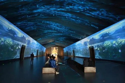 科技賦能，連接古今 探索博物館發(fā)展的新趨勢